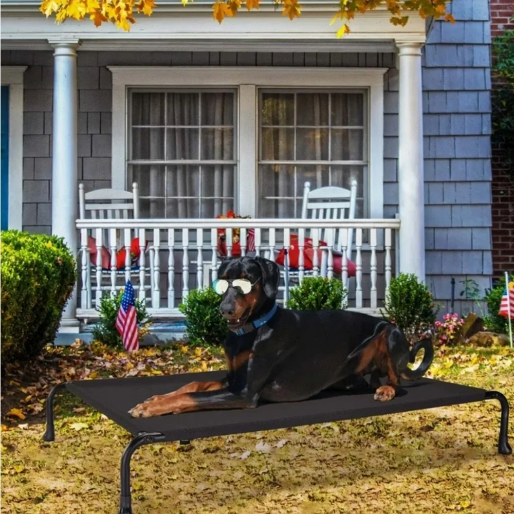 Outdoor Elevated Dog Bed